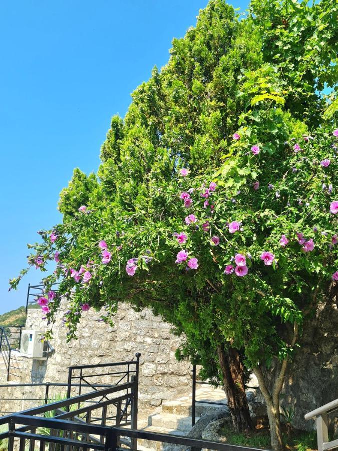 Villa Nera Budva