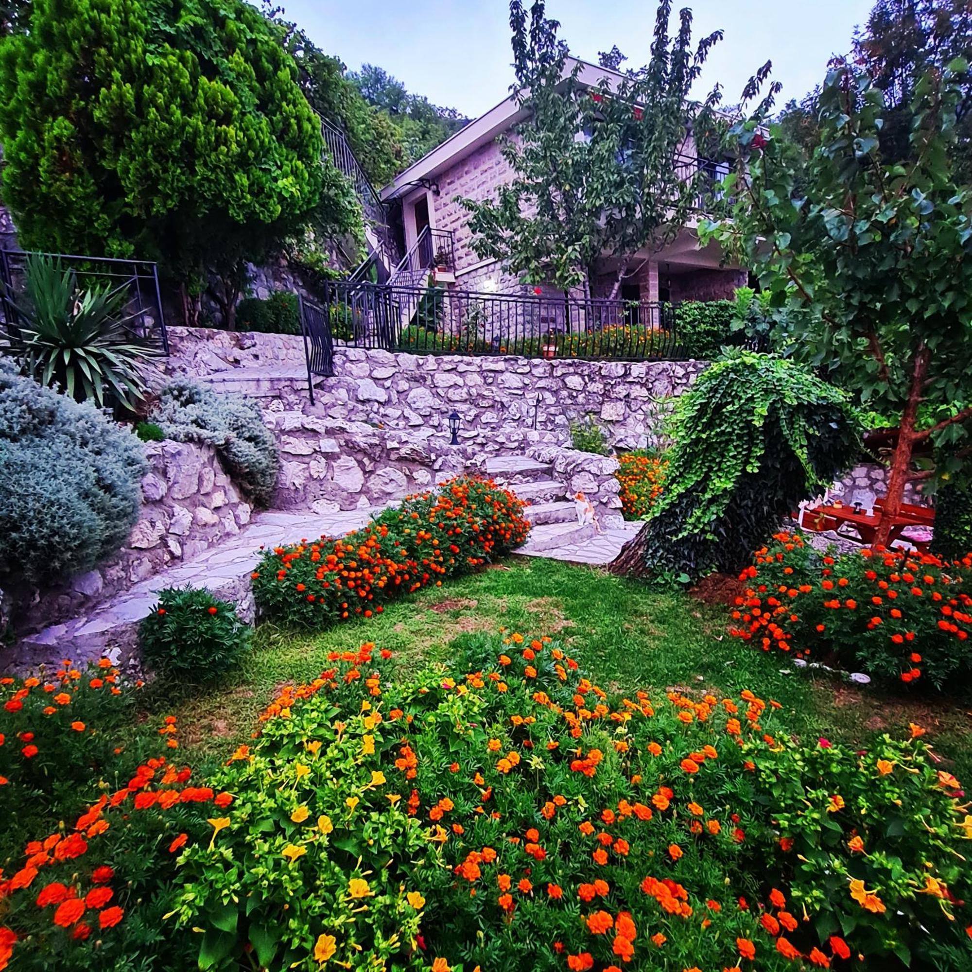 Villa Nera Budva